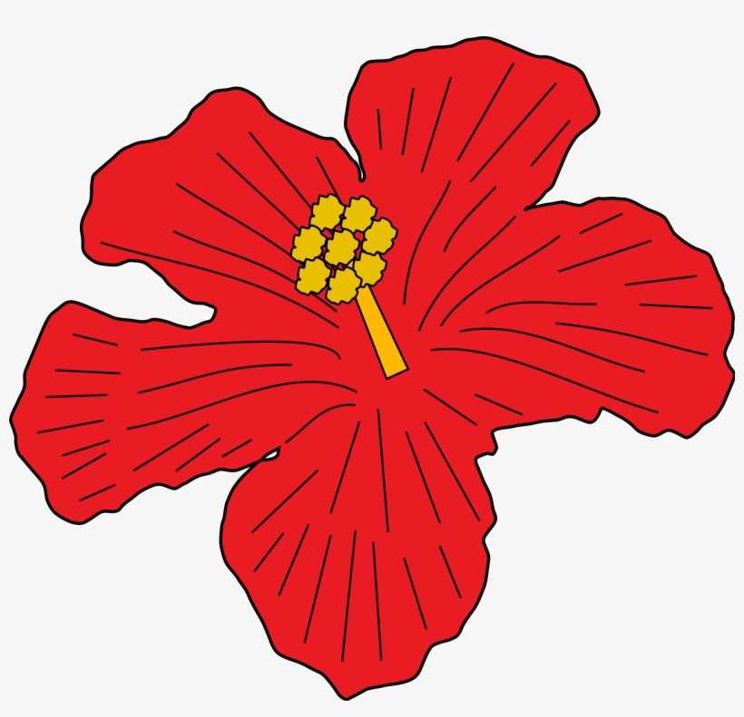 Open - Shoeblackplant, transparent png