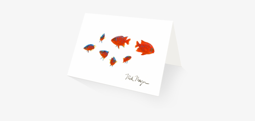 Baby Garibaldis - Crab, transparent png