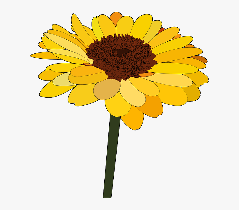 How To Set Use Single Sunflower Clipart, transparent png