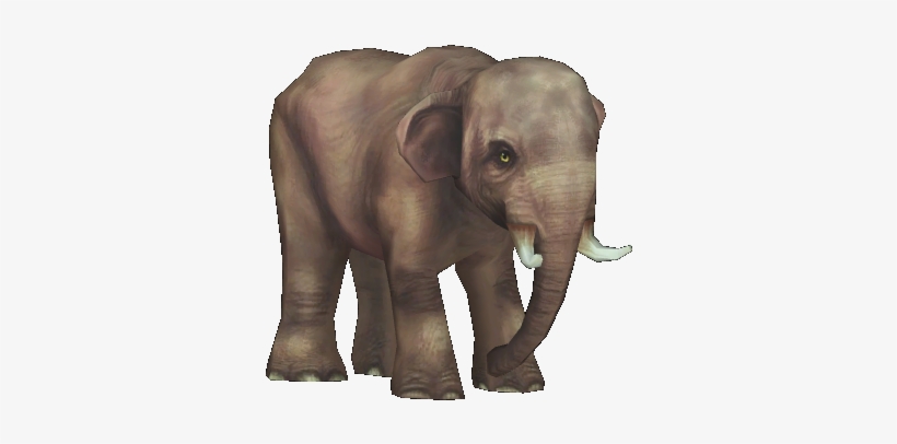 Borneo Pygmy Elephant , M1, transparent png