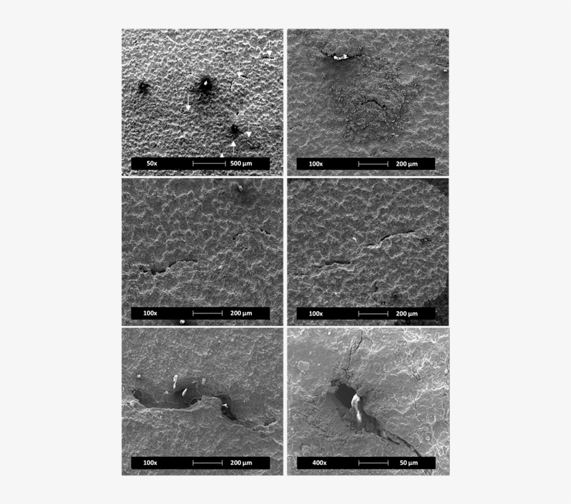 Presence Of Cracks On Api 5l X52 Steel Exposed To The - Floor, transparent png