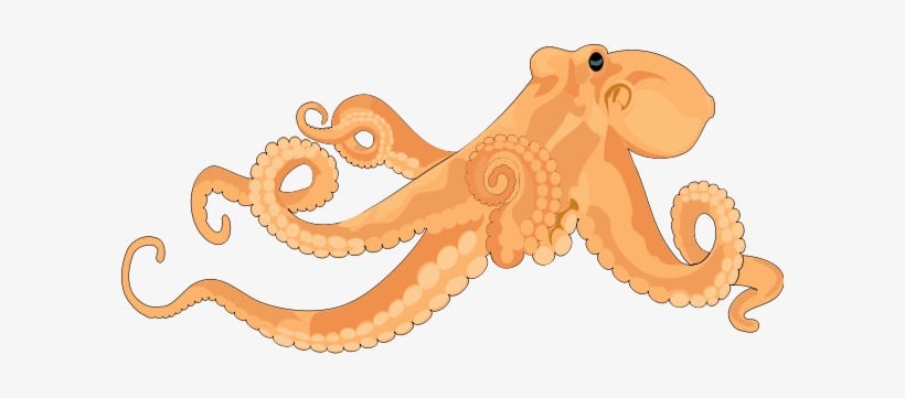 Octopus 02 Clipart Png, transparent png