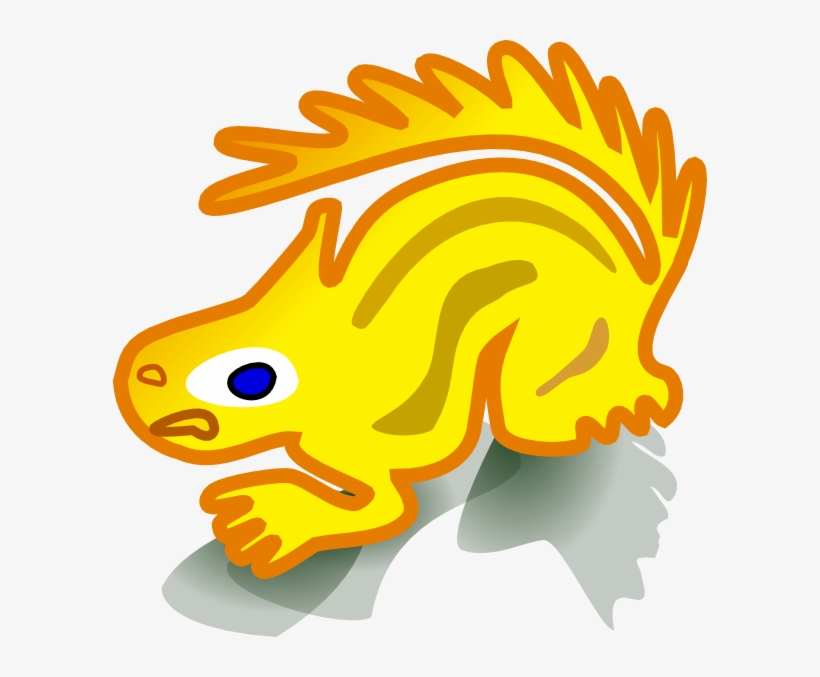 Squirrel Png, transparent png