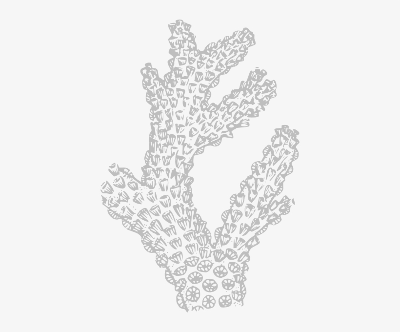 How To Set Use Gray Coral Clipart, transparent png