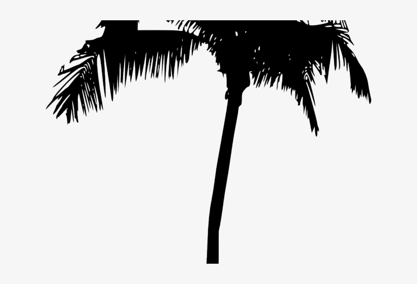 Palm Tree Silhouette Png, transparent png