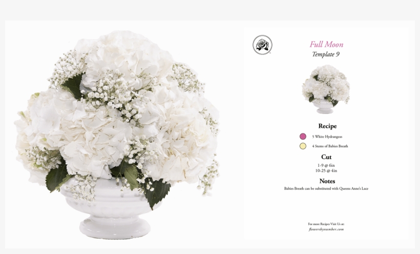 Fbn Arrangement And Recipe 0026 White Full Moon - Common Peony, transparent png