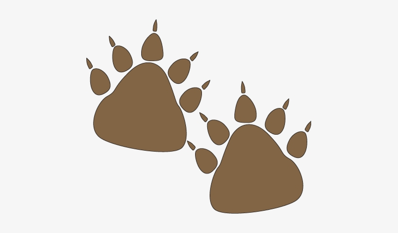 Bear Paw Prints - Bear Paw Prints Clipart, transparent png