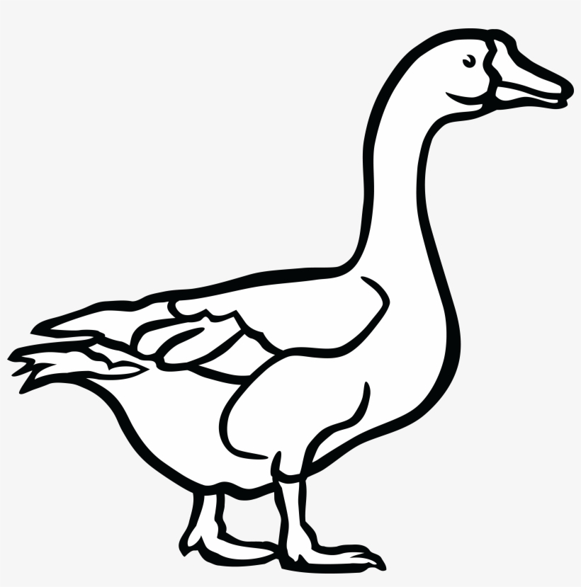Png Free Download Cool Duck Png Clipartxtras For Ifm - Goose Clipart Black And White, transparent png
