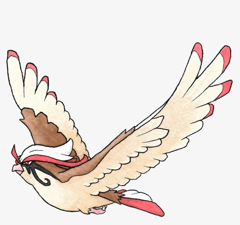 They Gave Pidgeot Mascara Tears - Pigeons And Doves, transparent png