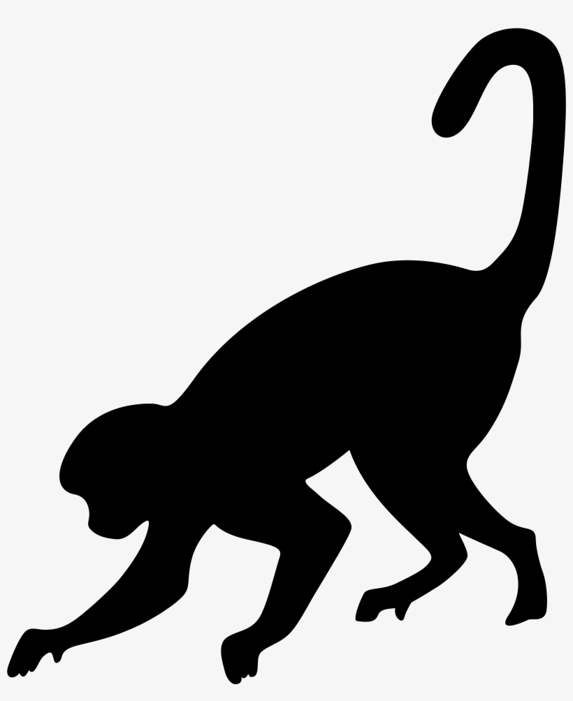 Monkey Png, transparent png
