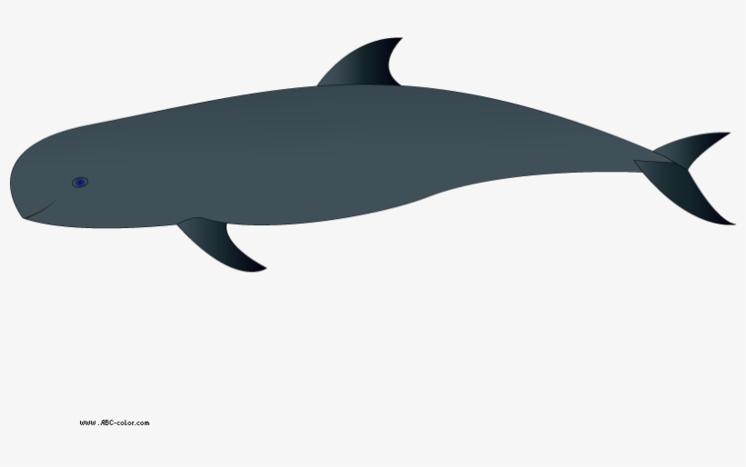Download Bitmap Picture Melon-headed Whale - Wholphin, transparent png