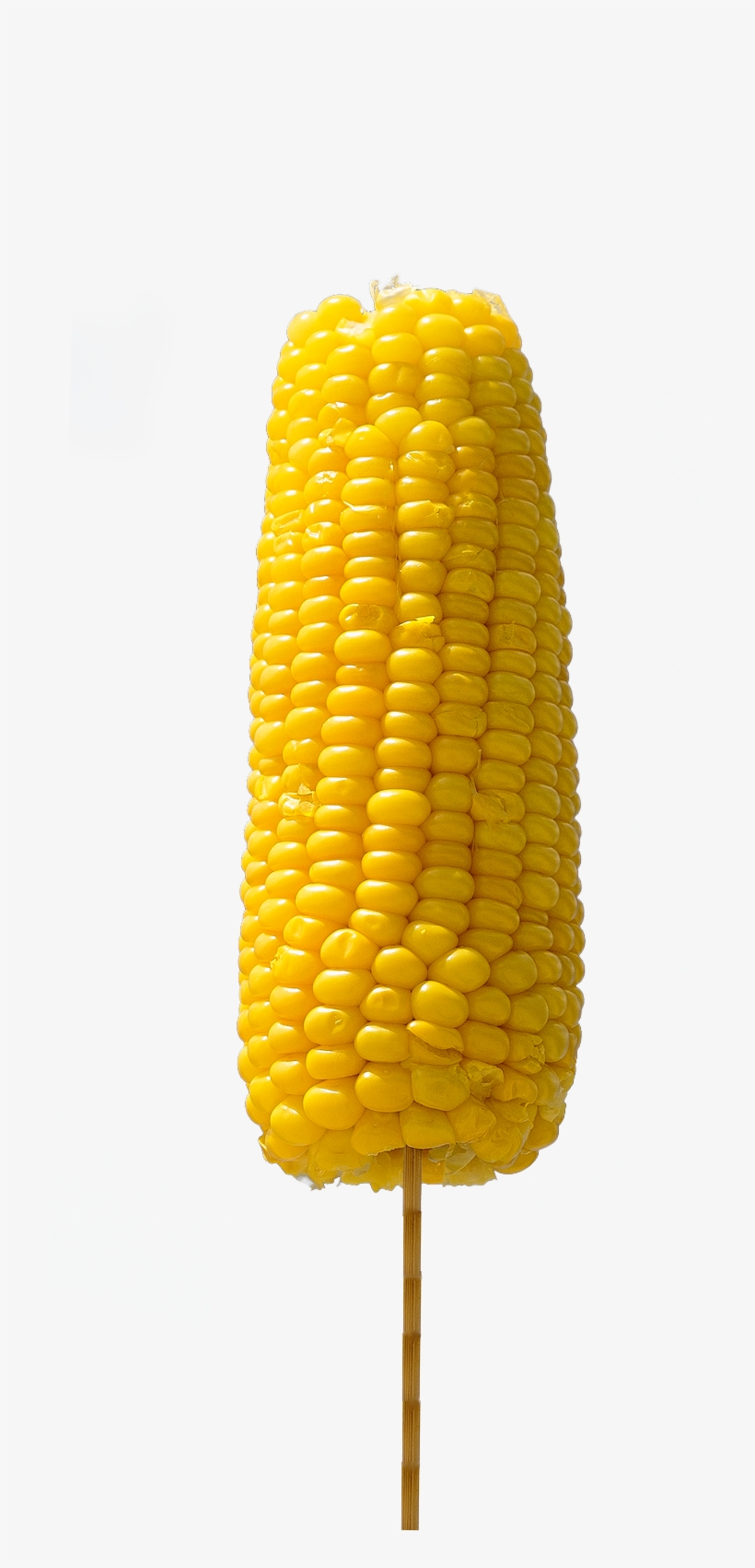 Corn Kernels, transparent png