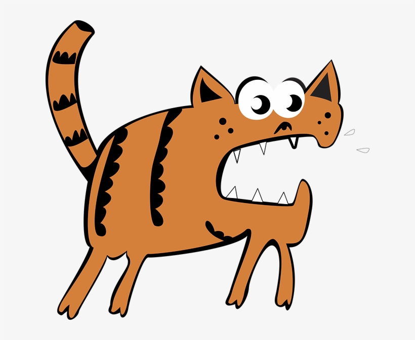 Vector Red-headed Cat Cute Animal Redhead - Cat And Fish - 3 Shirt Colors, transparent png