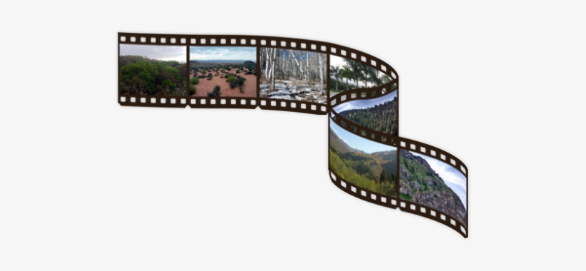 Film Negative Roll Png Wwwimgkidcom The Image Kid - 9 Film Strip Png, transparent png