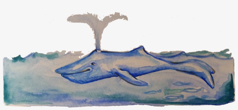Picture Of A Whale Spouting Water - Water, transparent png