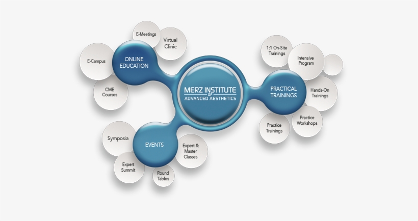Established In 2016, The Merz Institute Of Advanced - Diagram, transparent png