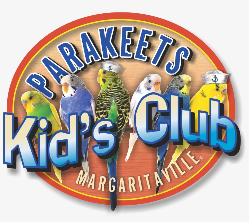 Parakeets Kid's Club - Magnes 3d Kolorowe Papużki, transparent png