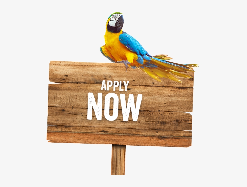 Job Posting Supporting Image - Wooden Sign Board Png, transparent png