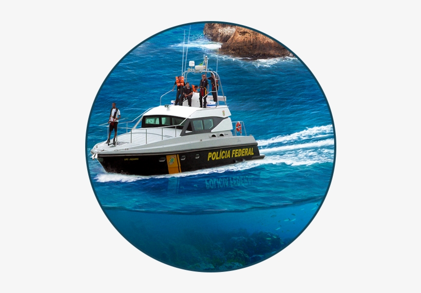 Www - Fenapef - Org - Br - Pilot Boat, transparent png