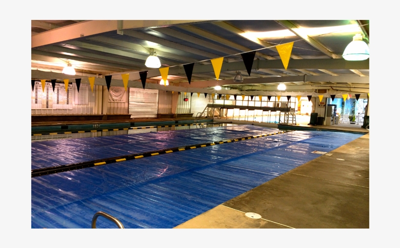 Http - //goldswim - - Woodstock - Chattahoochee Gold, transparent png