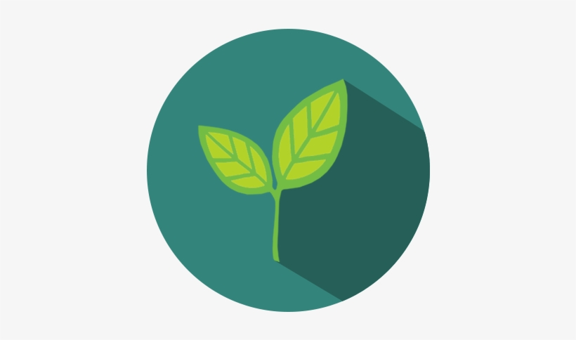 Laundry Woodstock - Laundry, transparent png