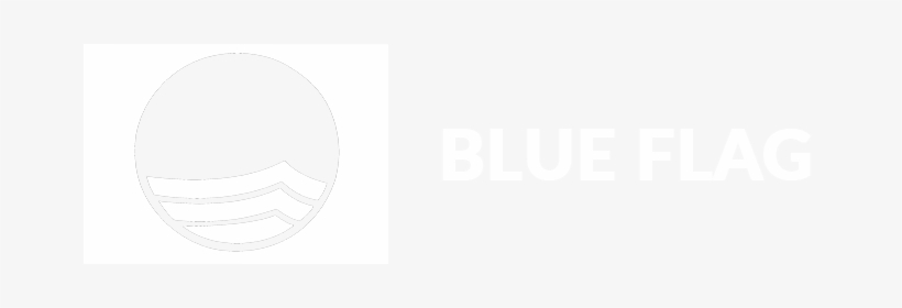 Bf Logo With Text 100 - Logo, transparent png