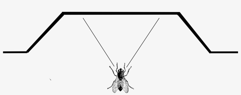 It Occurred To Me That My Headache Was Also A Matter - Cafepress Tacky Love Wall Calendar, transparent png