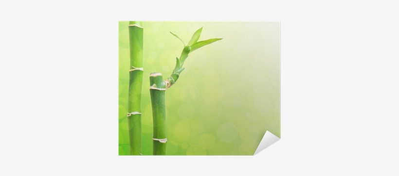 Canvas Print, transparent png