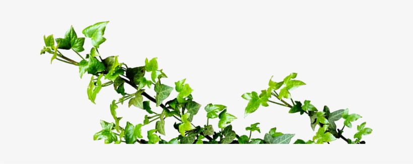 Authenticity Of The Holiday Farmhouse With Restaurant - Valley Farm Island, transparent png