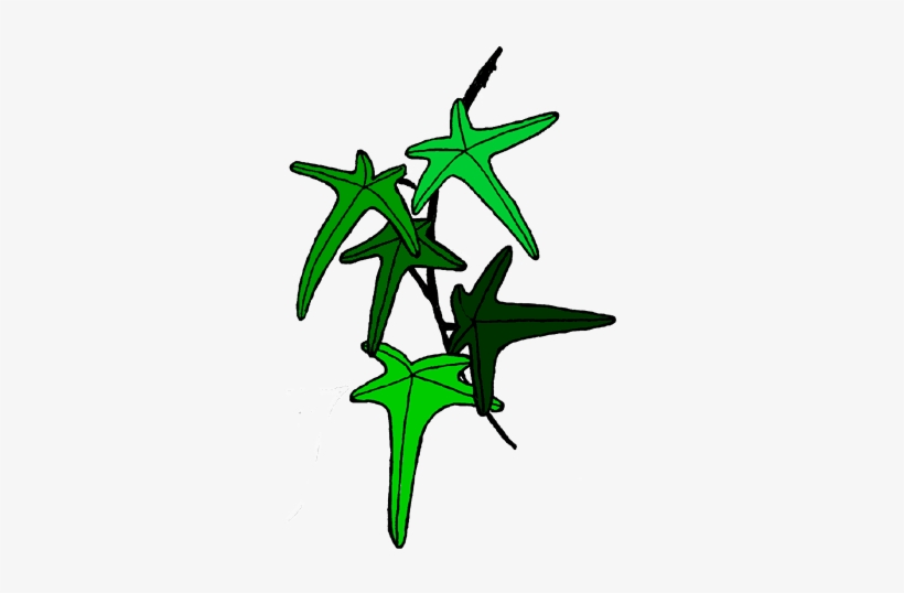 Clip Art, transparent png