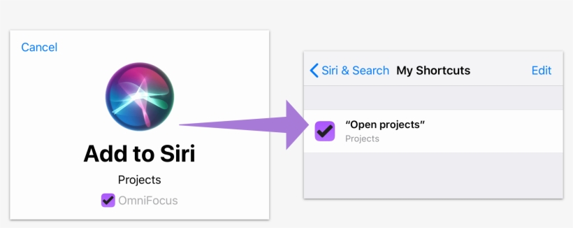 The Add To Siri Voice Recorder In Ios - Siri, transparent png