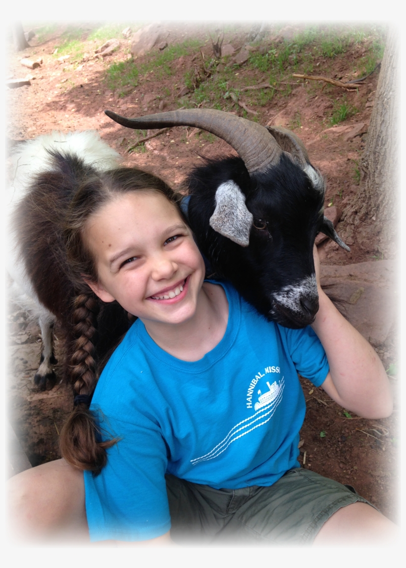 About The Owner - Cattle, transparent png