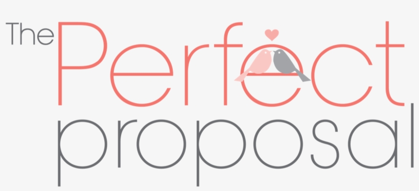 The Perfect Proposal - Archive, transparent png