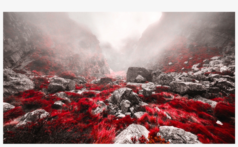 Score 50% - Grassy Mountains, transparent png