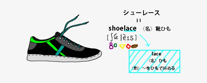 12 - シューレース Shoelace - Skate Shoe, transparent png