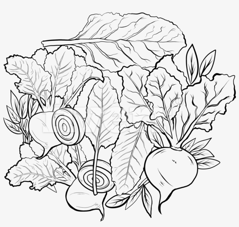 Draw Cool Line Art For Coloring Book Pages For Any - Alice No Pais Das Maravilhas Desenho Para Colorir, transparent png
