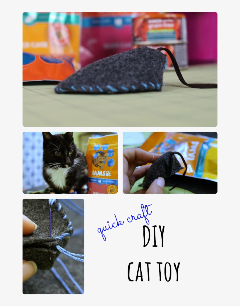 Making A Cat Toy Is Easier Than You Think Check Out - Cat, transparent png