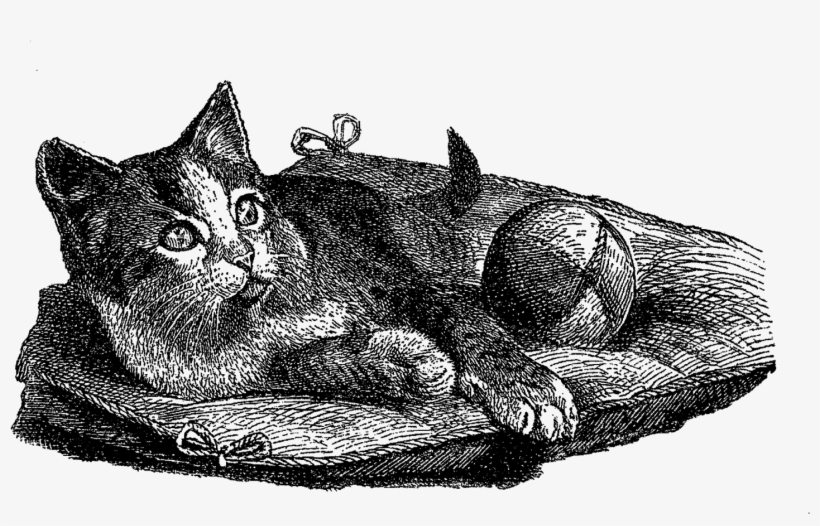 Digital Cat Clip Art - Illustration, transparent png