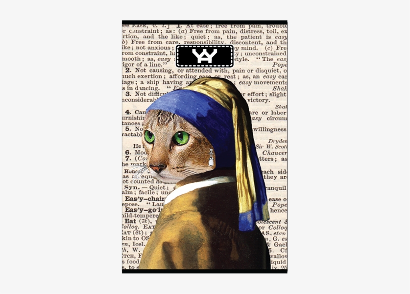 Yaywallet Ultra Slim Credit Card Holder - Mauritshuis, transparent png