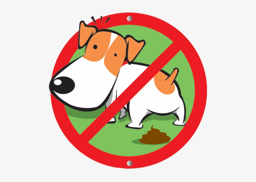 San Diego Pooper Scooper Feces 507x505 PNG Download PNGkit