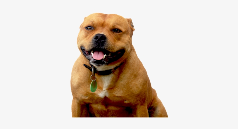 Snoop Dog - Snoop Dogg, transparent png
