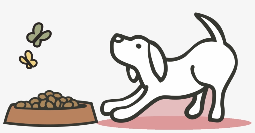 Puppy - Kitten, transparent png