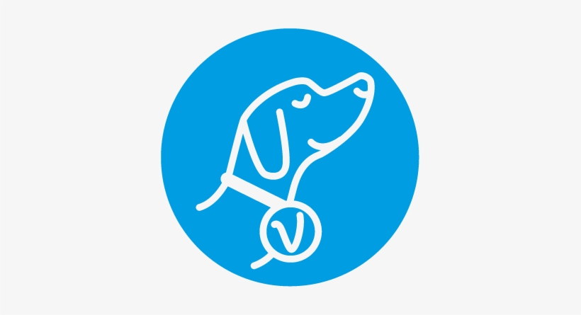 Dog, transparent png