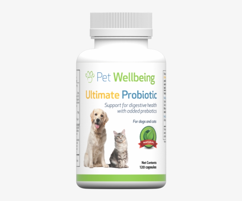 Pet Wellbeing Urinary Gold Daily For Cats Natural 327x600 PNG