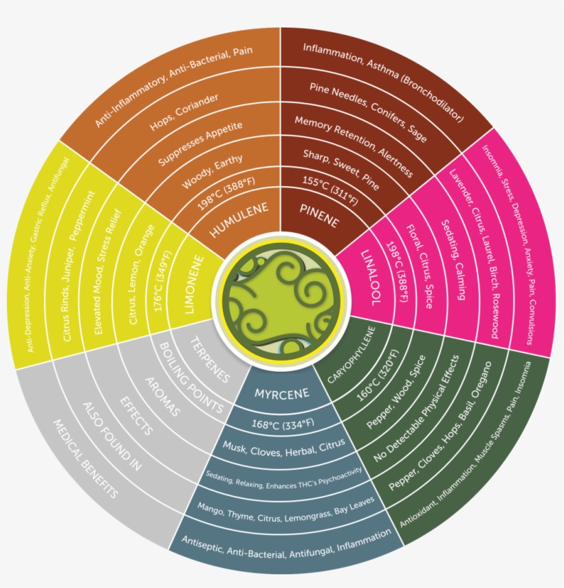 Of Scents Coming From The Next Jar Of Bud You Open - Cannabis Terpene Effect, transparent png