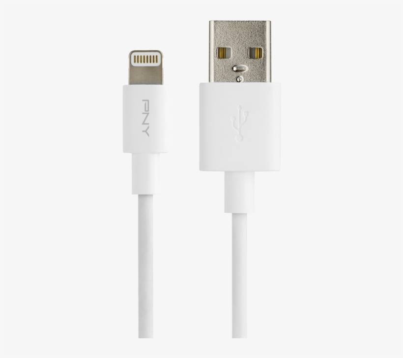 /data/products/article Large/883 20170203114249 - Pny Charge & Sync - Lightning Cable - Male 4 Pin, transparent png