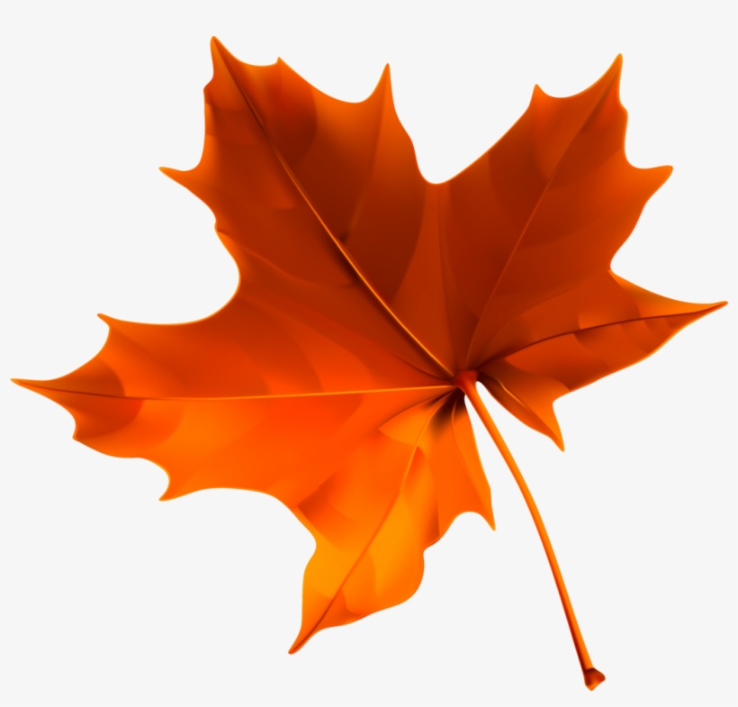 Ayƭymຖ Clipart Images Leaf Clipart Red Leaves Autumn Leaf Png 1024x931 Png Download Pngkit