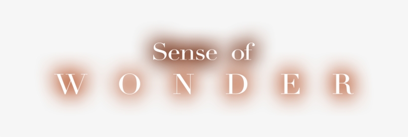 Sense Of Wonder - Sensorium, transparent png