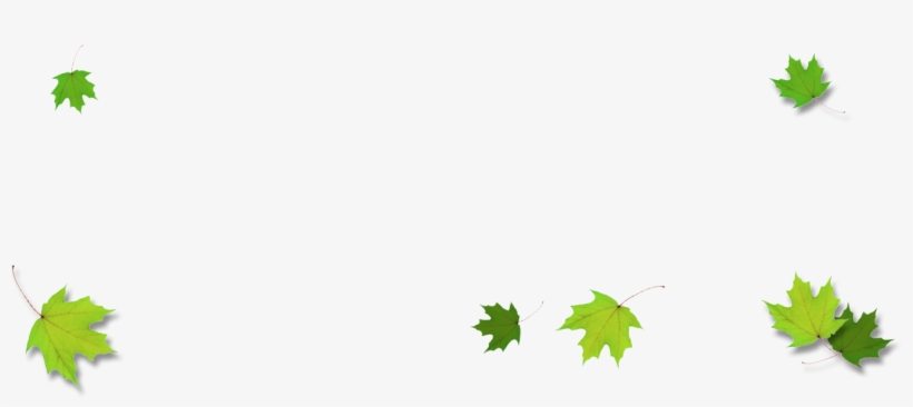 Leaves Border Png - Border Green Transparent Leaf, transparent png