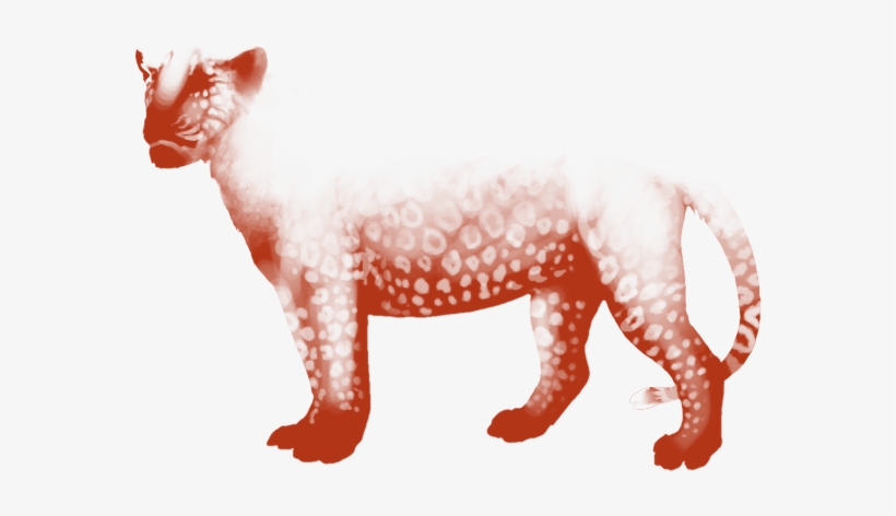 Lion, transparent png